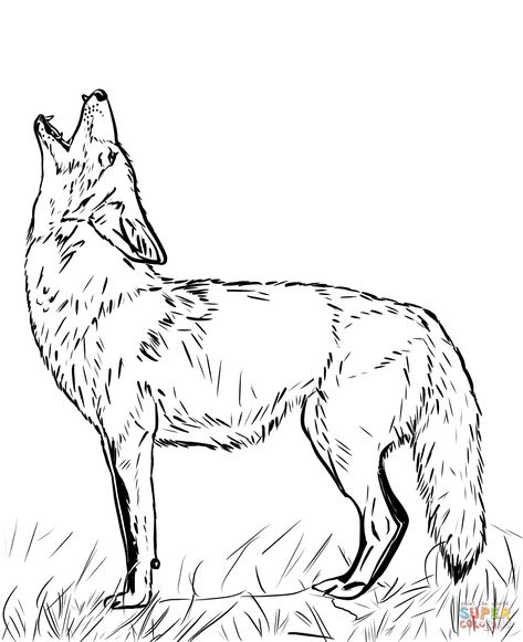 Coyote Howling Drawing, Coyote Coloring Page, Coyote Line Drawing, Coyote Line Art, Coyote Howling Tattoo, Simple Coyote Tattoo, Howling Coyote Tattoo, Coyote Drawing Reference, Coyote Linocut