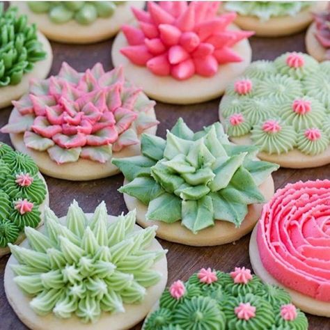 Trending 👉succulent treats like these cookies by @jennycookies . . . . #succulents #succulentcookies #sugarcookies #cookieart #cookiedecorating #buttercreamicing #wiltoncakes #wiltoncakedecorating #desserttrends #spring2018 #springtrends2018 #dessertideas #whatsbaking Bridal Shower Themes, Beautiful Baking, Succulent Cupcakes, Jenny Cookies, Succulent Cake, Cactus Cake, Cookie Making, Themes Wedding, Sugar Cookie Designs