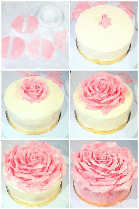 Strawberry Chocolate Rose Petal Cake ✿ Rose Petal Cake, Super Torte, Petal Cake, Fondant Rose, Chocolate Roses, Strawberry Chocolate, Rose Cake, Cake Decorating Tutorials, Chocolate Strawberries