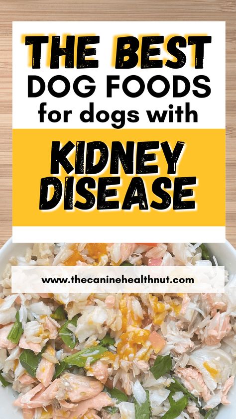 The Best Dog Food for Dogs with Kidney Disease. Picture of a homemade fish and rice diet for dogs with kidney disease. Renal Dog Food Recipes, Low Phosphorus Foods Renal Diet For Dogs, Renal Diet Dog Food Recipes, Kidney Dog Food Recipes, Homemade Renal Dog Food Recipes, Dog Kidney Diet, Homemade Renal Dog Food, Dog Renal Diet Recipes, Dog Kidney Diet Recipe