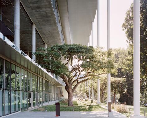 https://www.dezeen.com/2019/03/01/university-of-singapore-sde4-building-serie-architects-multiply-architects/ Zero Energy Building, Bauhaus Building, National University Of Singapore, Environment Projects, Georgian Terrace, Zero Energy, Tropical Architecture, Photovoltaic Panels, Architecture Magazines