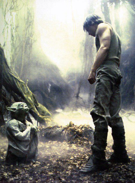 Yoda and Luke Photos Rares, Master Yoda, Star Wars Love, Empire Strikes Back, Mark Hamill, Darth Maul, Star Wars Pictures, The Empire Strikes Back, Star Wars Movie