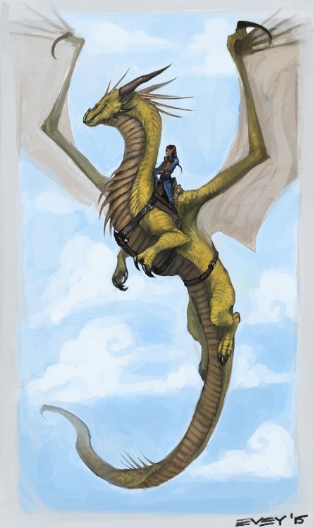 Daily Dragons | dragonscratch:   Take flight.   Final part of a... Inheritance Cycle, Types Of Dragons, Morning Photo, Cool Dragons, Mythical Animal, Dragon Rider, Dragon Pictures, Dragon Artwork, Dragon Drawing