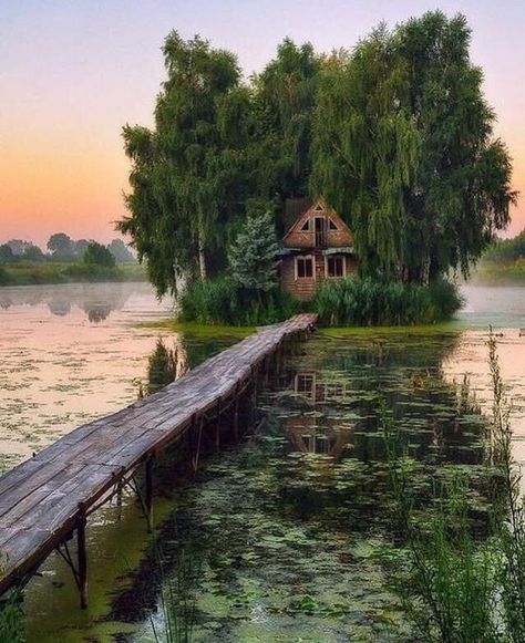 A House, Trees, Lake, Water