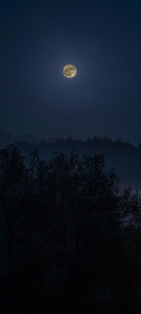 Full Moon over Forrest cropped mobile wallpaper 1080x2400 Full Moon Wallpaper, Luna Moon, Moon Wallpaper, Pink Moon, The Darkness, Mobile Wallpaper, Full Moon, Moon, Wallpapers