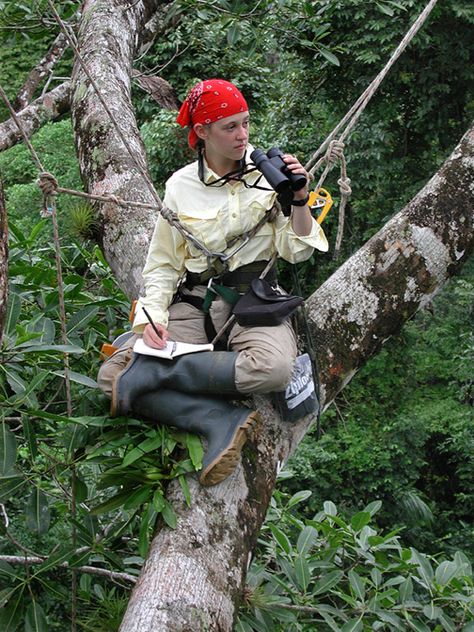 Conservation Corps Aesthetic, Wildlife Researcher Aesthetic, Zookeeper Aesthetic, Environmental Science Aesthetic, Conservation Scientist, Zoology Aesthetic, Ecuador Aesthetic, Environmental Science Major, Conservation Biologist