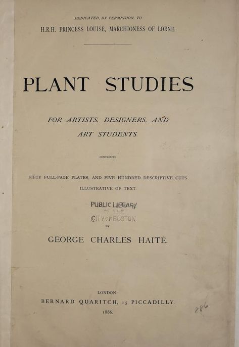 Plant studies for artists, designers, and art students : Haite, George Charles, 1855-1924 : Free Download, Borrow, and Streaming : Internet Archive Public Domain Books, Plant Study, Old Libraries, Drawing Tutorials For Beginners, Archive Books, Illustration Botanique, Botanical Illustration Vintage, Art Students, Boston Public Library