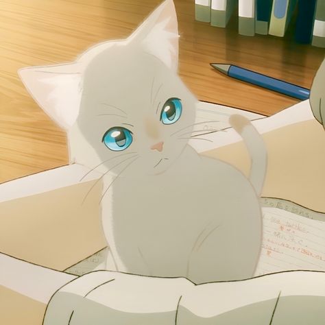 Anime Pets Aesthetic, White Cat Anime, Anime Cat Pfp, Studio Ghibli Background, Tiny Cats, Cat With Blue Eyes, Image Chat, Blue Anime, Cat Icon