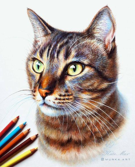 League Art, Colored Pencil Artwork, Cute Cat Drawing, Tech Art, Cats Kittens, Ivy League, Realistic Art, Color Pencil Art, Arte Animal