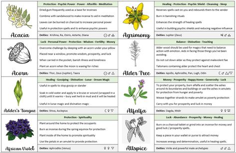 Acacia Magical Properties, Agrimony Magical Properties, Alfalfa Magical Properties, Adders Tongue, Alder Tree, Plant Magic, Magic Herbs, Healing Spells, Kitchen Witchery