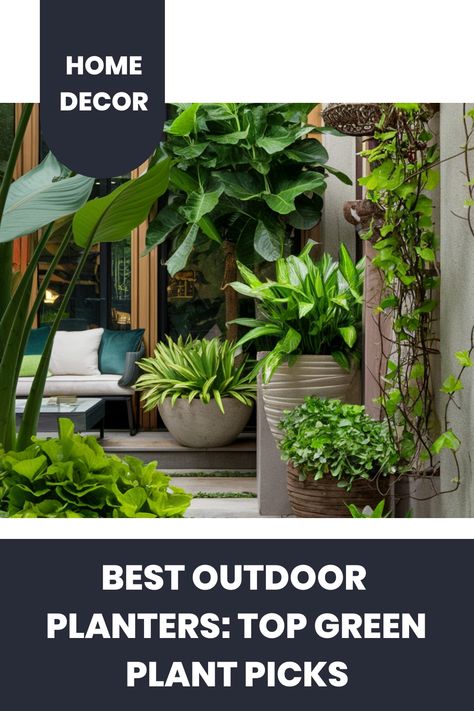 Outdoor patio with various green plants in stylish planters, promoting "Best Outdoor Planters: Top Green Plant Picks." Best Outdoor Plants, Dark Green Plants, Kitchen Flooring Trends, Kitchen Tile Inspiration, Ensuite Bathroom Designs, Industrial Chic Kitchen, Rustic Industrial Kitchen, Compact Kitchen Design, Modern Bedroom Colors