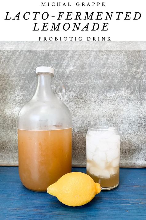 Probiotic Lemonade Drink. Sweet and Tangy. Cheap and easy way to get probiotics at home. Fermented Lemonade, Probiotic Lemonade, Whey Recipes, Yogurt Container, Lacto Fermented, Lemonade Drink, Prediabetic Diet, Probiotic Drinks, Full Fat Yogurt