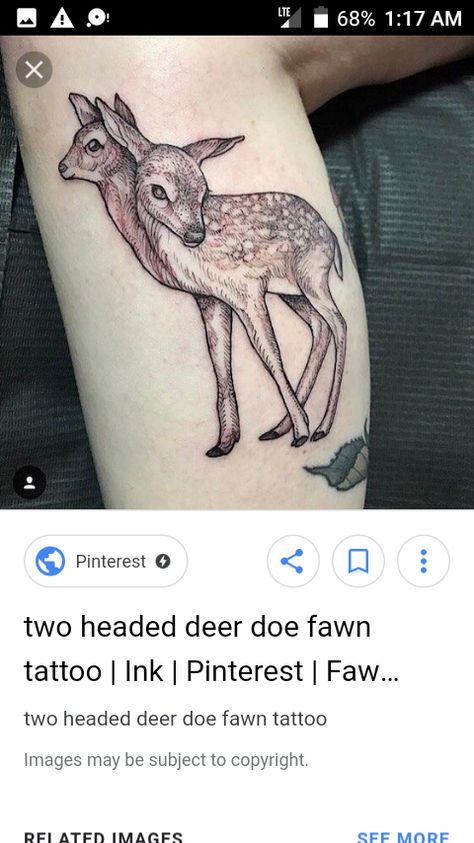 Two Headed Deer Two Headed Deer Tattoo, 2 Headed Animals Tattoo, Deer Tattoo Meaning, Baby Deer Tattoo, Fawn Tattoo, Doe Tattoo, Pig Tattoo, Deer Drawing, Deer Tattoo