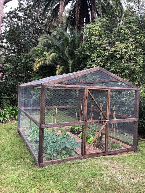 Caged Vegetable Garden, Garden Cages Vegetable, Garden Enclosures Ideas, Vegetable Plot Ideas, Enclosed Veggie Garden Ideas, Enclosed Veggie Garden, Diy Garden Enclosure, Enclosed Garden Design, Enclosed Vegetable Garden Ideas