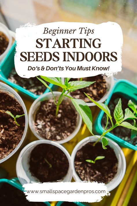 Learn how to kickstart your gardening journey with our guide to starting seeds indoors. Perfect for beginners, this step-by-step tutorial covers everything you need to know to nurture your seeds into healthy plants. From selecting the right containers & soil mix to providing proper lighting & watering, we've got you covered. Get ready to grow your own garden oasis from the comfort of your home! #StartingSeedsIndoors #SeedStarting #IndoorGardeningTips #BeginnerGardening #GardeningForBeginners Seed Starters, Starting Seeds, Seed Starting Mix, Starting Seeds Indoors, Gardening 101, Leafy Vegetables, Garden Oasis, Natural Birth, Small Space Gardening