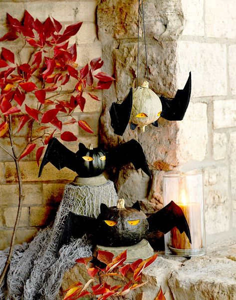 21 Creative Ways to Display Your Halloween Pumpkins Outside Easy Pumpkin Carving Ideas, Pumpkin Stencils Free, Pumpkin Carving Stencils Free, Halloween Bat Decorations, Easy Pumpkin Carving, Pumpkin Monogram, Pumpkin Display, Pumpkin Carving Ideas, Beautiful Pumpkins