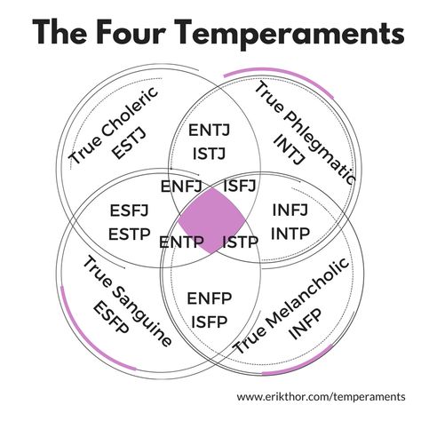 4 Temperaments Personality Types, Temperaments Personality, Melancholic Phlegmatic, Choleric Personality, Melancholic Personality, Melancholic Temperament, Phlegmatic Personality, Temperament Types, Double Personality