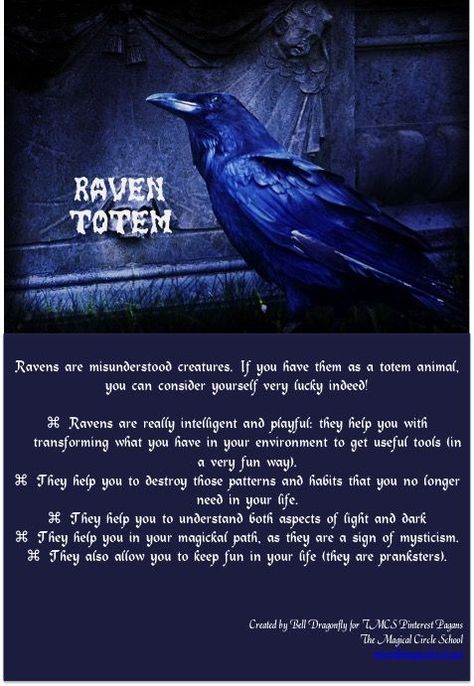 Visit the post for more. Crow Spirit Animal, Animal Totem Spirit Guides, Magical Circle, Raven Totem, Spirit Animal Meaning, Raven And Wolf, Animal Meanings, Animal Spirit Guide, Animal Spirit Guides