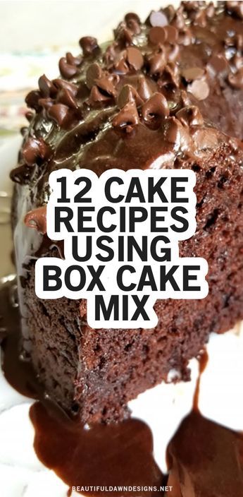 Recipe Using Chocolate Cake Mix, Chocolate Cake Mix Recipes, Birthday Cake Recipes, Box Cake Recipes, Recipes Using Cake Mix, 12 Cake, Boxed Cake Mixes Recipes, Cake Mix Desserts, Devils Food Cake Mix Recipe