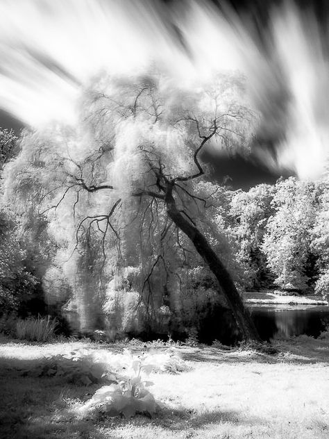 Infrared Photography Black And White, What Is Motion, Boring Images, Motion Blur Photography, Camera Techniques, Blur Photography, Infrared Photography, Red Photography, Digital Photography School