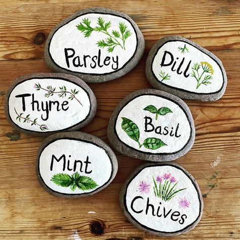 Herb labels/markers hand painted on rocks for in the garden. Painted with acrylics and then varnished over for extra protection! Rock Painting For Garden Plant Markers, Rock Labels For Garden, Painted Rock Plant Markers, Herb Rock Garden, Seed Labels Diy Plant Markers, Painted Rock Garden Markers, Plant Labels Ideas, Garden Plant Labels, Painted Rocks Garden Markers