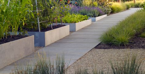 Parterre - steel edge Modern Kitchen Garden, Different Types Of Plants, Moderne Have, Water Wise Landscaping, Potager Garden, Garden Vines, Garden Area, Veg Garden, Garden Park