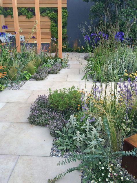 Pool Plants, Porch Landscaping, Coastal Garden, Small Courtyard Gardens, Meadow Garden, Dry Garden, Coastal Gardens, Garden Makeover, Side Garden