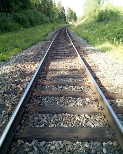 My #Morning #Pathway 🌲🌤️🌿🦆☕️😋🤚 : : : : #insta #instadaily #ınstagood #minnesota #MN #trail #path #travel #monday #holiday #laborday Holocost Art, Train Tracks Aesthetic, Train Tracks Photography, Monday Holiday, Orsay Museum, Rail Train, Scenic Railroads, Railroad Photography, Old Trains