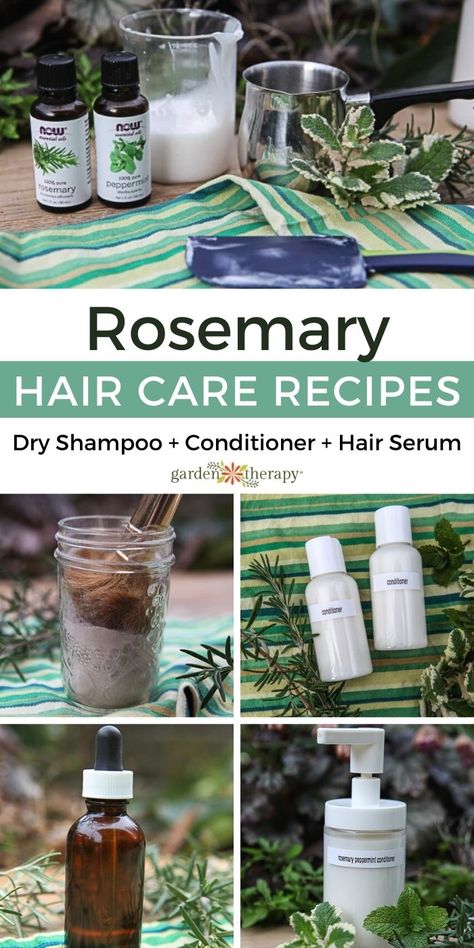 Homemade Rosemary Shampoo, Rosemary Shampoo Diy, Rosemary In Shampoo, Diy Hair Conditioner Recipes Natural, Shampoo And Conditioner Recipes, Herbal Shampoo Recipe, Homemade Hair Care, Hair Herbs, Healthy Hair Naturally