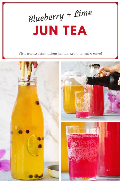 Tumeric Tea Recipe, Jun Tea, Lemon Tea Benefits, Ginger Tea Benefits, Fermented Drinks, Kombucha Recipe, Gut Healing Recipes, Flavor Combinations, Healing Recipes