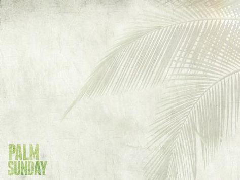 Church Preaching Slide: Palm Fronds - SermonCentral.com Worship Videos, Church Backgrounds, Slide Background, Palm Sunday, Palm Fronds, Holy Week, Power Point, Colorful Wallpaper, New Media