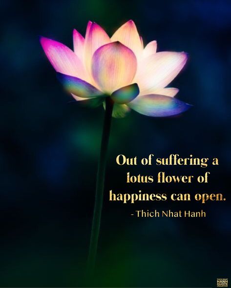 Out of suffering a lotus flower of happiness can open. — Thich Nhat Hanh. @thichnhathanhquotecollective #nomudnolotus #thay #lotus #suffering #flowerofhappiness #happiness #mindfulness #thichnhathanhquotecollective #thichnhathanh #buddhistquotes #thichnhathanhquotes Lotus Flower Quotes Buddha, Lotus Sayings, Lotus Flower Quotes Inspirational, Lotus Quotes Inspiration, Lotus Quotes, Lotus Meaning, Congratulations Messages For Achievement, Lotus Flower Quote, Lotus Quote