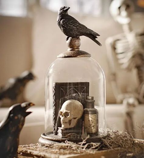 a vintage Halloween cloche with books, a skull, a poison bottle and a blackbird on top is a cool decoration to make yourself Halloween Cloche, Cloche Ideas, Halloween Centerpieces, Cloche Decor, Haunted House Diy, Poison Bottle, Halloween Mantel, Creepy Stuff, Easy Halloween Decorations