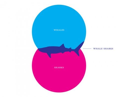 Ven Diagrams, Funny Commercial Ads, Venn Diagrams, Whale Sharks, Funny Commercials, Vivid Dreams, Venn Diagram, Diagram Design, Shark Bites