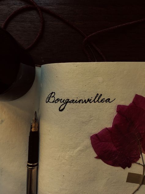 #darkacademiaaesthetic #darkacademia #vintageaesthetic #aestheticedits #lightroomedits #photography Bougainvillea Aesthetic Quotes, Bougainvillea Aesthetic, Aesthetic Gift, Aesthetic Quotes, Dark Academia Aesthetic, Bougainvillea, Vintage Aesthetic, Quote Aesthetic, Dark Academia