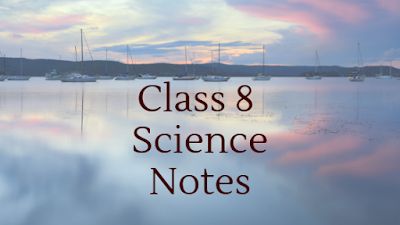 CBSE Notes: Microorganisms: Friend and Foe Class 8 Notes  #Class8ScienceNotes #MicroorganismsFriendandFoeNotesofClass8 Class 8 Science Notes, Science Revision Notes, Class 8 Notes, Reproduction In Animals, Crop Production And Management, Economics Notes, Force And Pressure, Science Revision, Physics Teacher