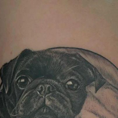 Black Pug Tattoo, Plumeria Tattoo, Pug Tattoo, Pug Mug, Pug Gifts, Pug Shirt, Black Pug, Dog Pajamas, Pugs Funny