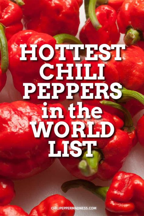 What are the Hottest Peppers in the World? 2020 List - Chili Pepper Madness Coleslaw Vinegar, Chili Pepper Hot Sauce Recipe, Pepper Health Benefits, Pepper Scale, Growing Chili Peppers, Peruvian Chicken Recipe, Crawfish Dishes, Cooking Knowledge, 2023 List