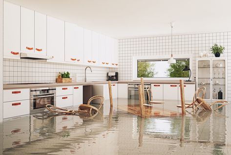 Water Damage Repair, Emergency Water, Flood Damage, Sell My House, Flood Insurance, Flood Zone, Mold Remover, Restoration Services, Steam Cleaning