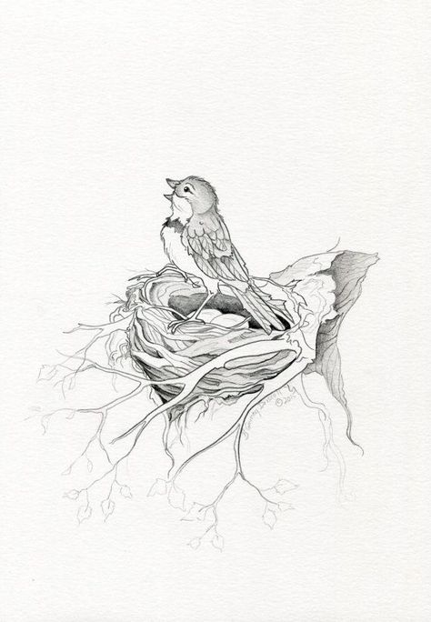 Blue Bird Sketch, Bird Outline, Sketchbook Challenge, Animal Tattoo Ideas, Ear Tattoo Ideas, Bird Sketch, Singing Bird, Moon Painting, Beauty Art Drawings