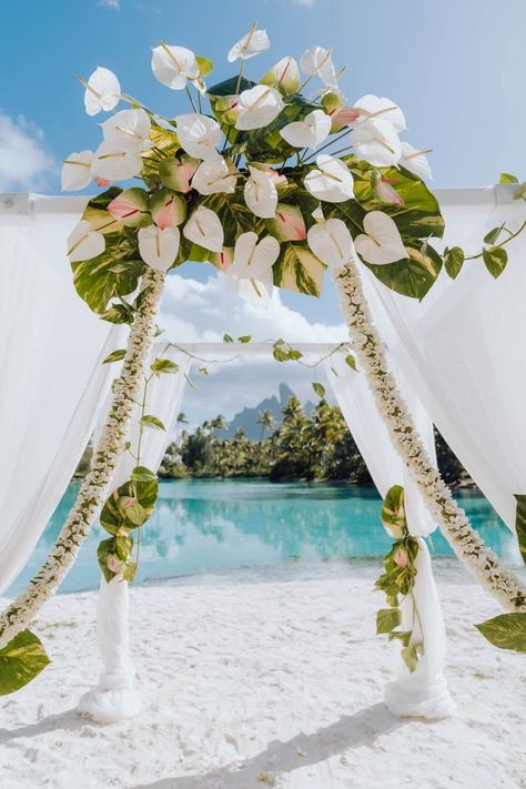 Tropical wedding arch in Bora Bora Wedding In Bora Bora, Palawan Wedding, Tropical Wedding Arch, Tahiti Wedding, Bora Bora Wedding, Bamboo Wedding, Reading Era, Caribbean Wedding, Places To Get Married