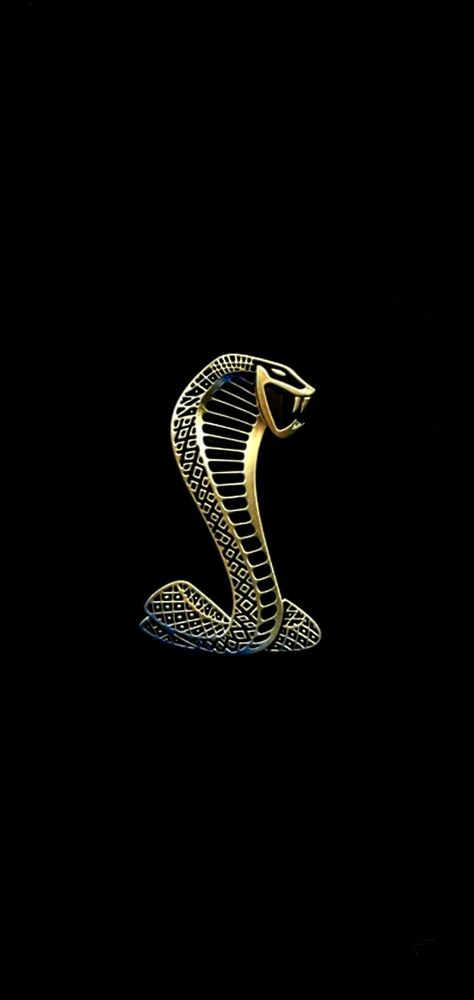 Cobra (snake) Cobra Wallpaper, Cobra Snake, Shelby Cobra, Cool Stuff, Quick Saves