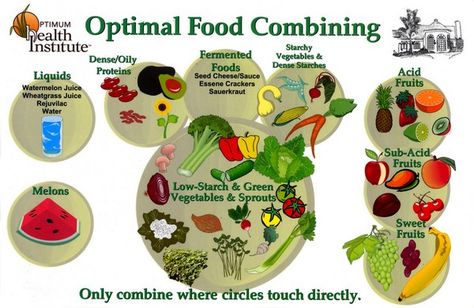 Day 5-9 of Alison's Raw Food Challenge - Alison's Notebook Food Combining Diet, Dr Robert Morse, Food Combining Chart, Flat Stomach Foods, Dr Morse, Robert Morse, Liquid Protein, Diet Myths, Green Melon