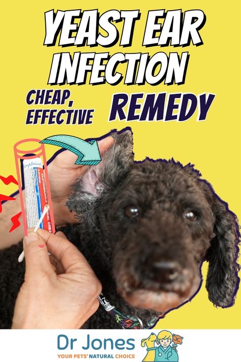 Yeast In Dogs Ears Remedies, Dog Yeast Infection Skin Remedies, Yeast In Dogs Ears, Ear Mites In Dogs, Ear Infections In Dogs, Yeast In Dogs, Dog Warts, Dog Meds, Dog Ear Infections