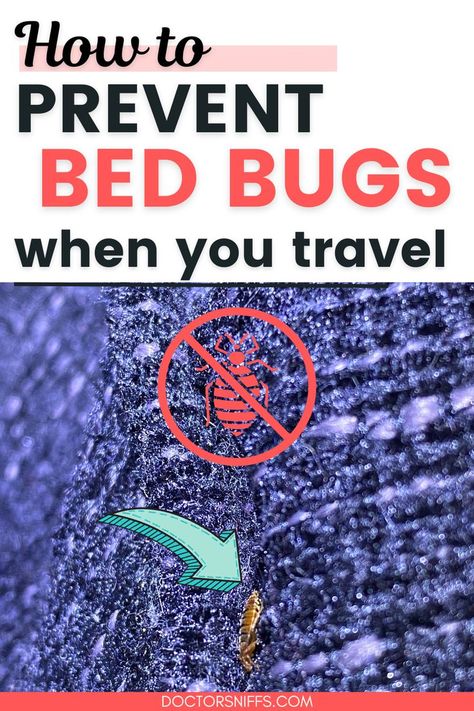 a picture of a person traveling with a backpack with a "no bed bugs sign" and text: prevent bed bugs while traveling Get Rid Of Bed Bugs, Bug Infestation, Kill Bed Bugs, Rid Of Bed Bugs, Bug Hotel, Bed Bug, Clothes Dryer, Life Stages, Bed Bugs