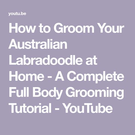 How to Groom Your Australian Labradoodle at Home - A Complete Full Body Grooming Tutorial - YouTube Australian Labradoodle Grooming, Labradoodle Cuts, Labradoodle Grooming, Puppy Haircut, Australian Labradoodle, Labradoodle, Full Body, To Learn, At Home