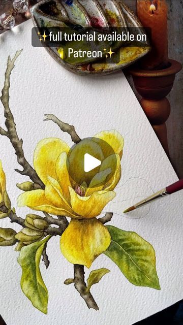 Watercolor Art Fruits And Vegetables, Flower Watercolour Painting, Botanical Watercolor Tutorial, Watercolor Techniques Tutorial, Botanical Watercolor Painting, Yellow Magnolia, Watercolor Botanicals, Watercolour Flower, Painting Flowers Tutorial