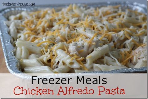 Chicken Alfredo Pasta, Pantry Challenge, Freezer Meals Freezer Meals Chicken, Freezer Meal Ideas, Meals That Freeze Well, Freeze Meals, Persnickety Plates, Freeze Ahead Meals, Meals Chicken, Chicken Freezer Meals, Freezer Dinners