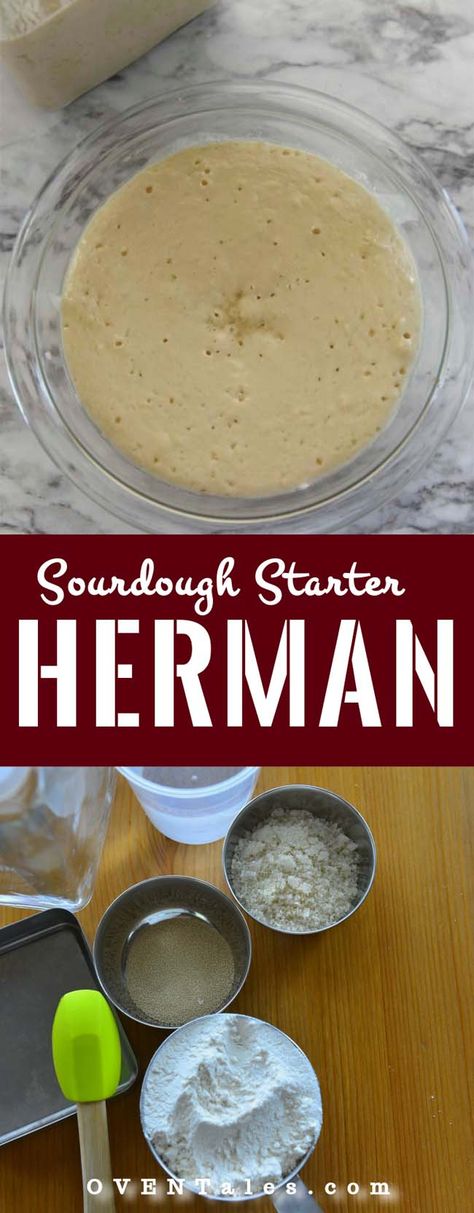 Learn how to make the sweet sourdough starter known as Herman. It is easy to make and can be used to add more flavor in cakes, breads etc. It is the same starter that is used to make Amish friendship bread Amish Sour Dough Stater, Herman Friendship Cake, Herman Sourdough Starter Recipes, Friendship Sourdough Starter, Herman Friendship Cake Starter, Herman Cake Starter, Coffee Can Bread Recipes, Amish Sourdough Starter, Herman Bread Starter