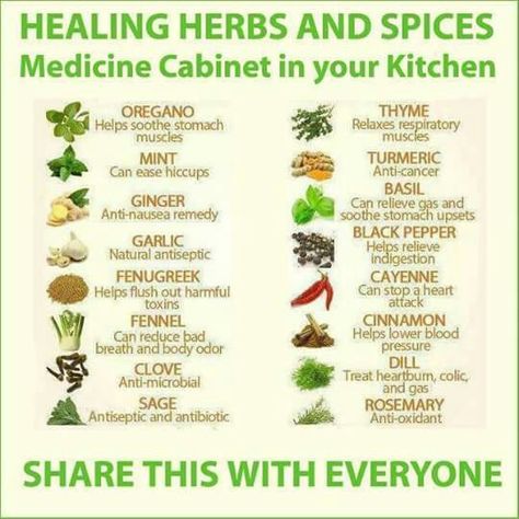 Medicinal Herb Garden, Stomach Gas, Jamaican Jerk Seasoning, Remedies For Nausea, Relieve Gas, Health Chart, Medicinal Herbs Garden, Total Life Changes, Medicinal Herb